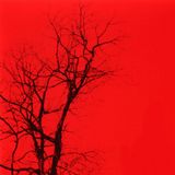 Profondo Rosso