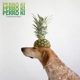Perro Ki // primavera style //