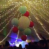Steamboats and Petticoats....a healthy slice of romantic rave