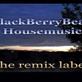 VA_BlackBerryBeatz_Techhouse_Mixset_FunkyDread