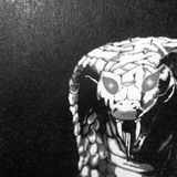 Bye Bye Snake, Hello Horse