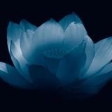 For All (Sacred Circle May 2 2010)