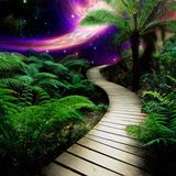 Tropical Galaxy Adventure!