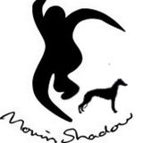 moving t'shadow