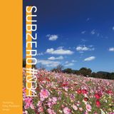 SUBZERO#34 2nd hour - teropo