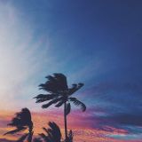 Spring Mixtape