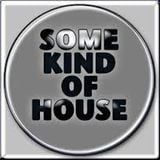 Some Kind's of House Vol.4.1