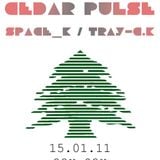 Cedar Pulse Live Set Recorded @ Standard Café (Part II)