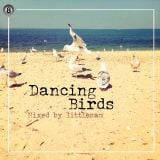 Dancing Birds