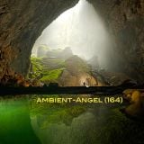 Ambient-Angel (164)