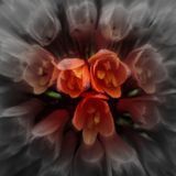 mix.12.04.psy.bloom