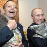 Australian Alternative #2