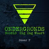 Snaar P @ Ondergronds 300813