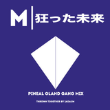 MADFUTURE | PINEAL GLAND GANG MIX 2 | MIXED BY IAO AUM