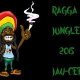 RAGGA JUNGLE 2015 (JAY-CEE)