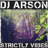 Dub Brigade Episode 10 - Dj Arson - Strictly Vibes