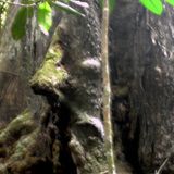 Radio Penn ar marc'h heg February 2016 : Carpenterror and other monsters