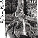 PiG LIVE at the Captains rest 22-03-97