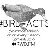 Birdmaster Kevin - RWD.FM Broadcast 6/16/2015