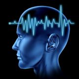 The Sound Brain Ride