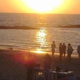Lilliput cafe - middle of the road in Goa: techno, house, ambient, no trance!