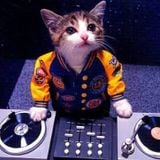 Beat