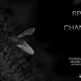 Arlenes Grocery/Spin D set