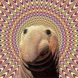 RSHMR 15 min mix- Nov 15