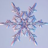 Winter Tales