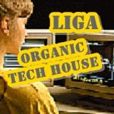 Organic Tech House Mixed By Liga Wolf