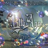 LillyAnnSpringEDM2015