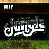 Welcome to the Jungle