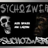 PsychoZwerg - Lärmquelle