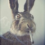 Seraphim - Four Twenty Mix
