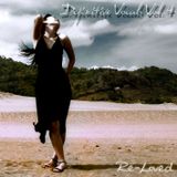 Definitive Vocals Vol. 4 (Re-Loved)