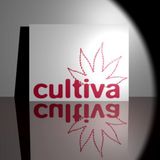 Cultiva After Party - 02.10.2015 Pyramide VD