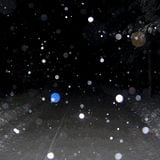 Live @ Trank IV (10.3.2004)