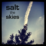 Salt the skies