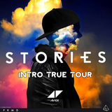 Avicii - Intro TrueTour + Hey Brother