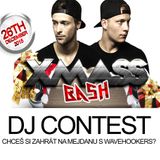 DJ SIGGI - EDM Cirkuss - Contest mix - XMASS BASH with WAVEHOOKERS