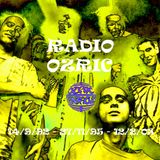 Radio Ozric Mk.2