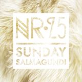 dj cndr - Salmagundi Mix Nr. 25