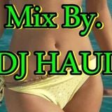 Mix By Dj Haui - House Musik ( 100% Music )