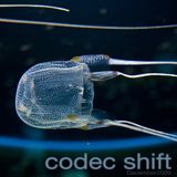 Codec Shift - TechMix (Dec.09)