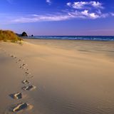 Zac F - Music For Walking in the Sunshine