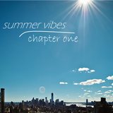 Summer Vibes Chapter One