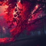 27/09/14 Live Liquid Mix jumpup.co: Crimson Leaves