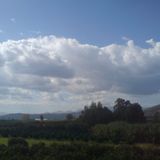a sunny coffee break at my balkony