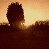 Mid-Autumn Broadcast
