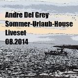raus ins house sommermixset 08.2014.mp3(155.0MB